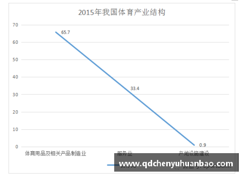 全球体育明星现状及未来趋势深度解析