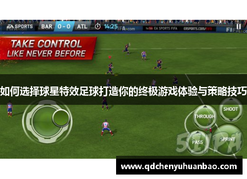 如何选择球星特效足球打造你的终极游戏体验与策略技巧